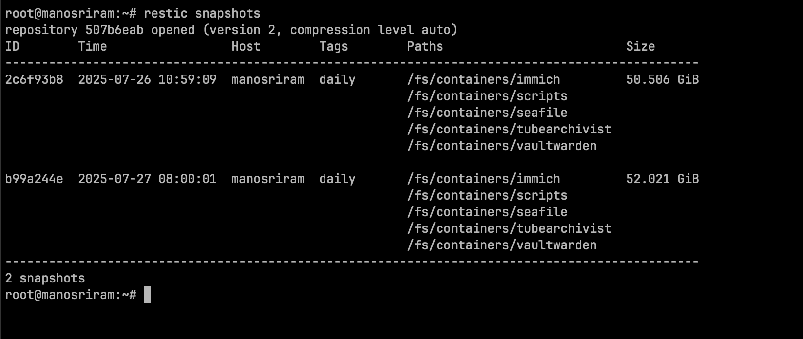 Screenshot of restic snapshots listing